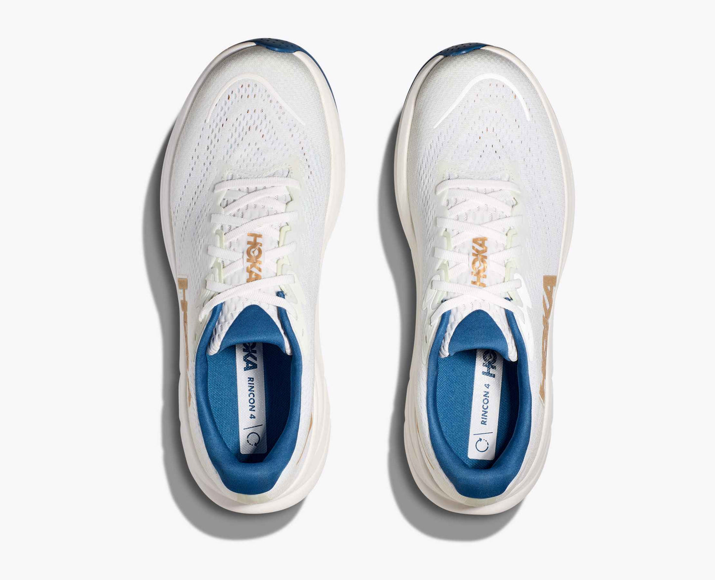 Rincon 4 - Frost / Gold