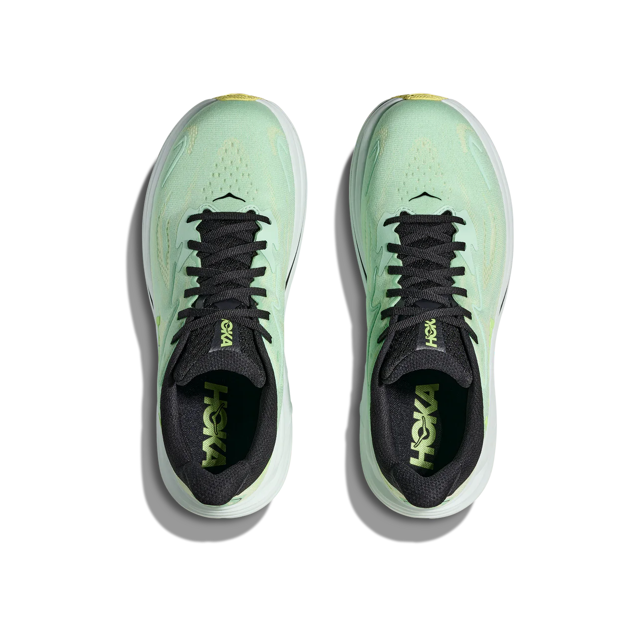 CLIFTON 10 – MINT FLUORITE/LUNA MOTH (Utsolgt)